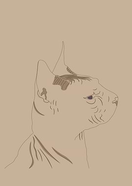 Minimalist Sphynx Cat Line Art Portrait