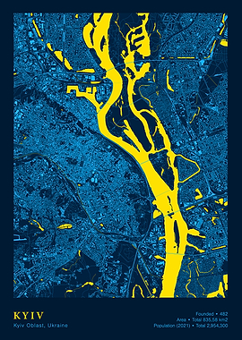 Kyiv City Map Art Print