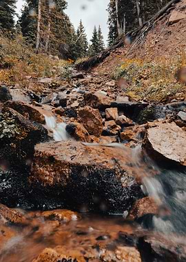 Mountain Stream Landscape