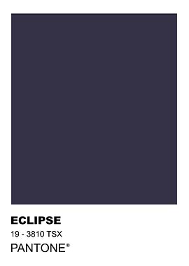 Pantone Eclipse 19-3810 TSX Color Swatch