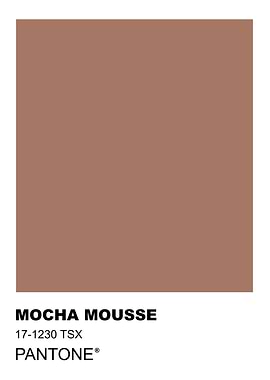 Mocha Mousse Pantone Color Swatch