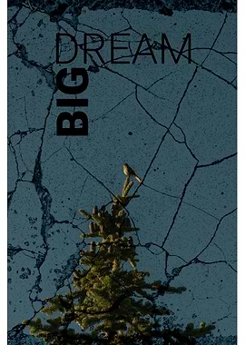 DreamBig