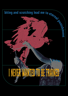 I never wanted to be trained Graphic Art
