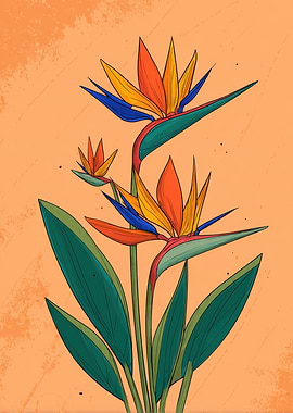 Bird of Paradise Flower Illustration