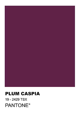 Plum Caspia Pantone Color Swatch