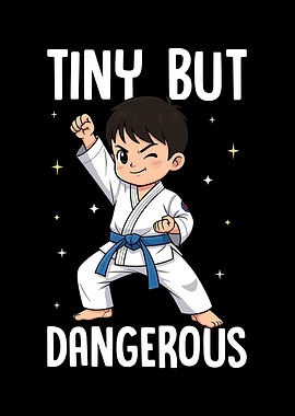 Tiny But Dangerous Karate Kid