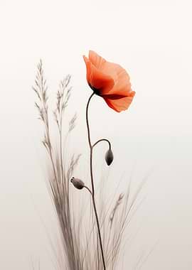 Poppy and Grass Still Life
