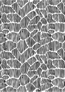 Abstract Black and White Pattern
