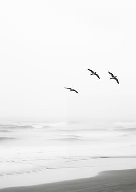 Seagulls Flying Over Ocean