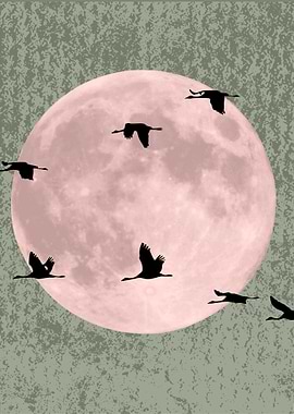 Sage Green Japandi 2