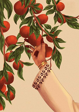 Picking Clementines Illustration