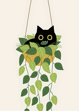 Black Cat in Hanging Plant Pot