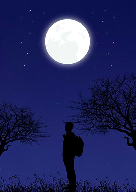 Silhouette under the Moonlit Sky