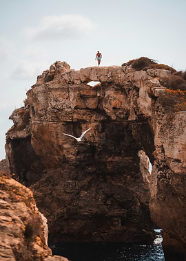 Man on Rock Formation with Seagull