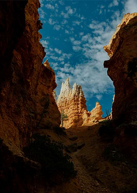 Bryce Canyon National Park View