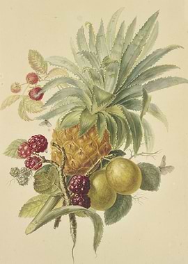 Botanical Fruit Still Life Painting