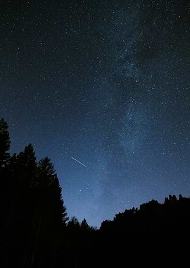 Night Sky with Milky Way and Trees