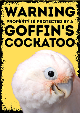 Warning Sign – Property Protected by a Goffin’s Cockatoo | Funny Parrot Wall Art | Cockatoo Lover Gift | Bird Owner Home Decor