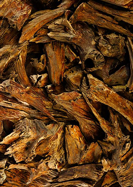 Pile of Agarwood Chips