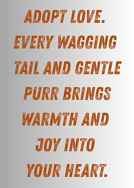 Adopt Love Pet Adoption Message