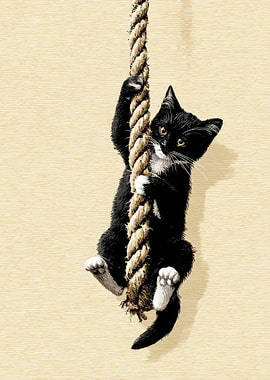 Kitten Climbing Rope Illustration