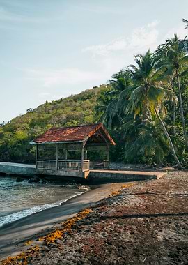 Tropical Beach Hut with Palm Trees