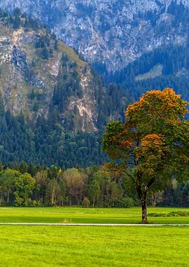 Autumn Tree in Mountain Landscape
