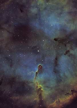 Elephant Trunk Nebula