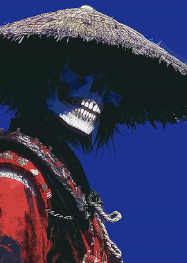 Samurai Skeleton with Straw Hat