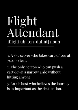 Funny Flight Attendant Definition