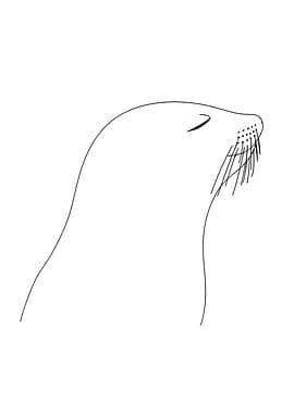Minimalist Funny Seal Line Art