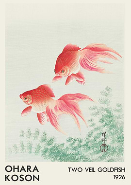 Two Veil Goldfish by Ohara Koson
