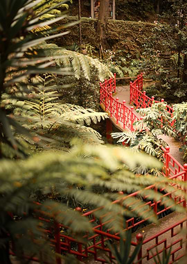 Red Bridge in Lush Green Garden