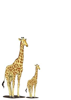 Mother and Baby Giraffe – A Gentle Bond