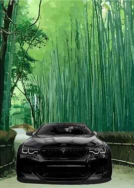 Black Car in Bamboo Forest