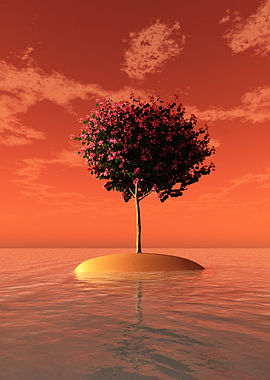 Tree on Island in Water