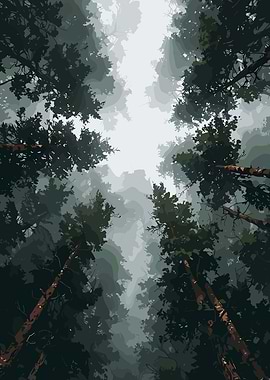 Misty Forest Canopy View