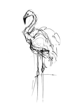 Elegant Flamingo Sketch