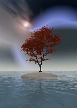 Solitary Tree on Island in Water
