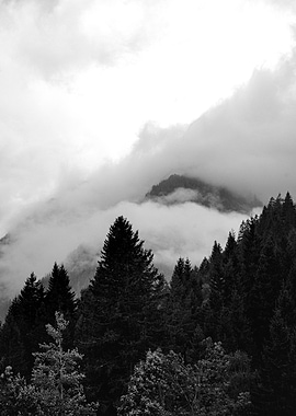 Monochrome Mountain Forest in Clouds