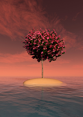 Tree on Island at Sunset