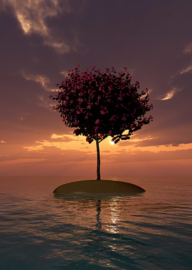 Tree on Island at Sunset