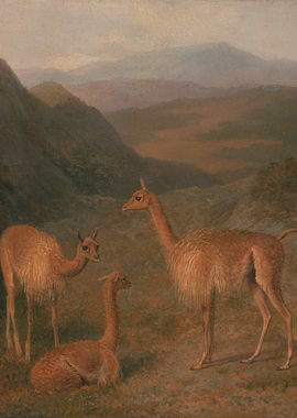 Llama Family in Mountain Landscape Painting