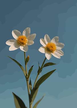 Two White Flowers Against Blue Sky