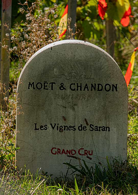 Moët & Chandon Vineyard Marker