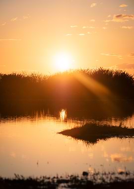 Golden Sunset Over Water