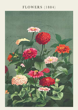 Flowers (1884) Vintage Botanical Art