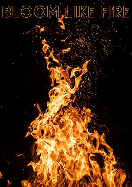 Bloom Like Fire