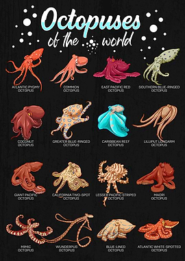 Octopuses of the World