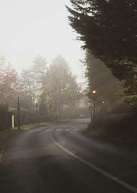 Misty Road